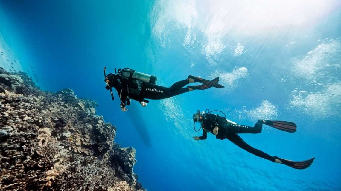 Дайвинг клуб Черная Акула: Откройте для себя мир подводного плавания