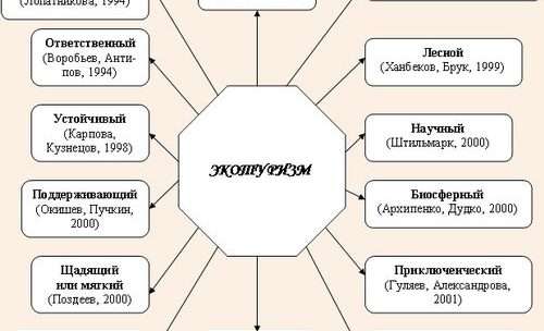 Экологические туризм центры: роль и перспективы развития
