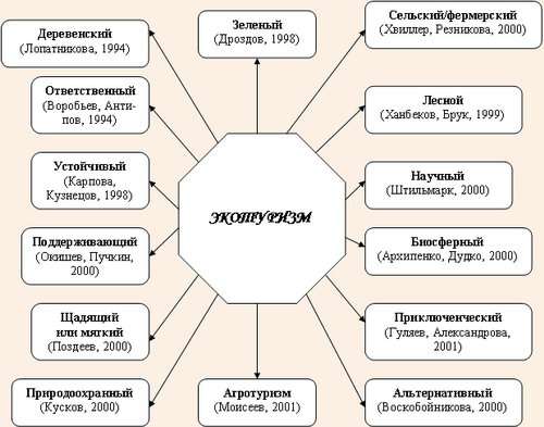 Экологические туризм центры: роль и перспективы развития