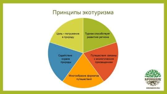 Маршруты экологического туризма: разработка, преимущества и перспективы